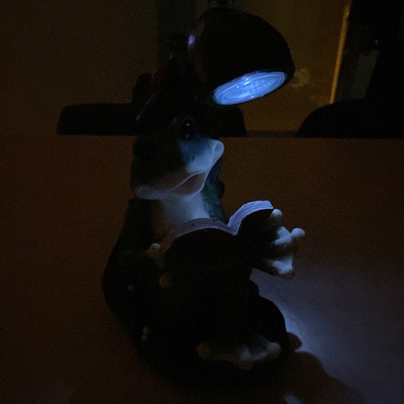 Solar Powered Frog Reader Garden Decor - Picture 7 of 13